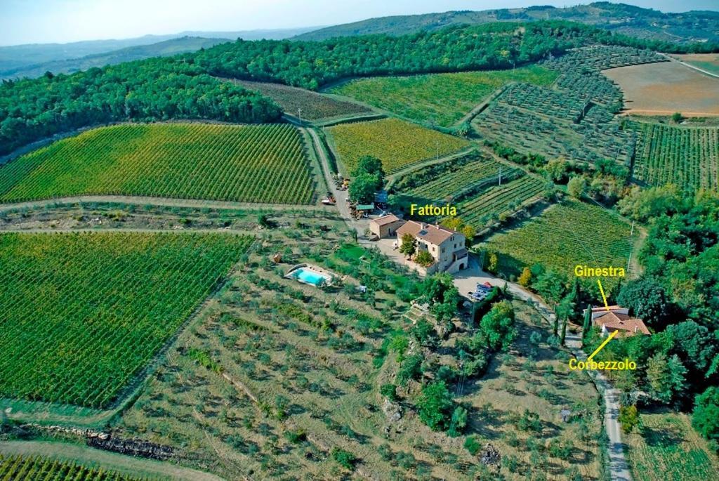 Ginestra Apartment, Into The Vineyard Panzano in Chianti Dış mekan fotoğraf