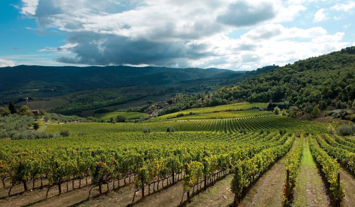 Ginestra Apartment, Into The Vineyard Panzano in Chianti Dış mekan fotoğraf