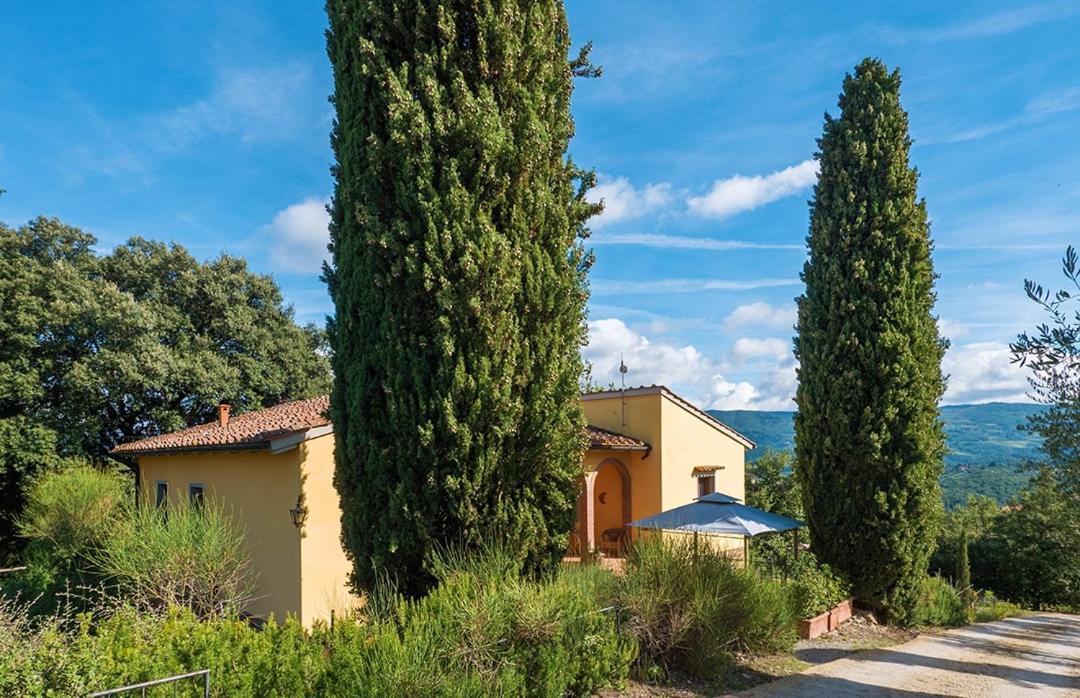 Ginestra Apartment, Into The Vineyard Panzano in Chianti Dış mekan fotoğraf